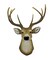 Lifelike Faux 8 Point Buck Deer Head Bust Wall Mount Hanging 23 inch